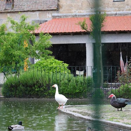 Villa Quinta Dos Patos à Pinhanços Extérieur photo