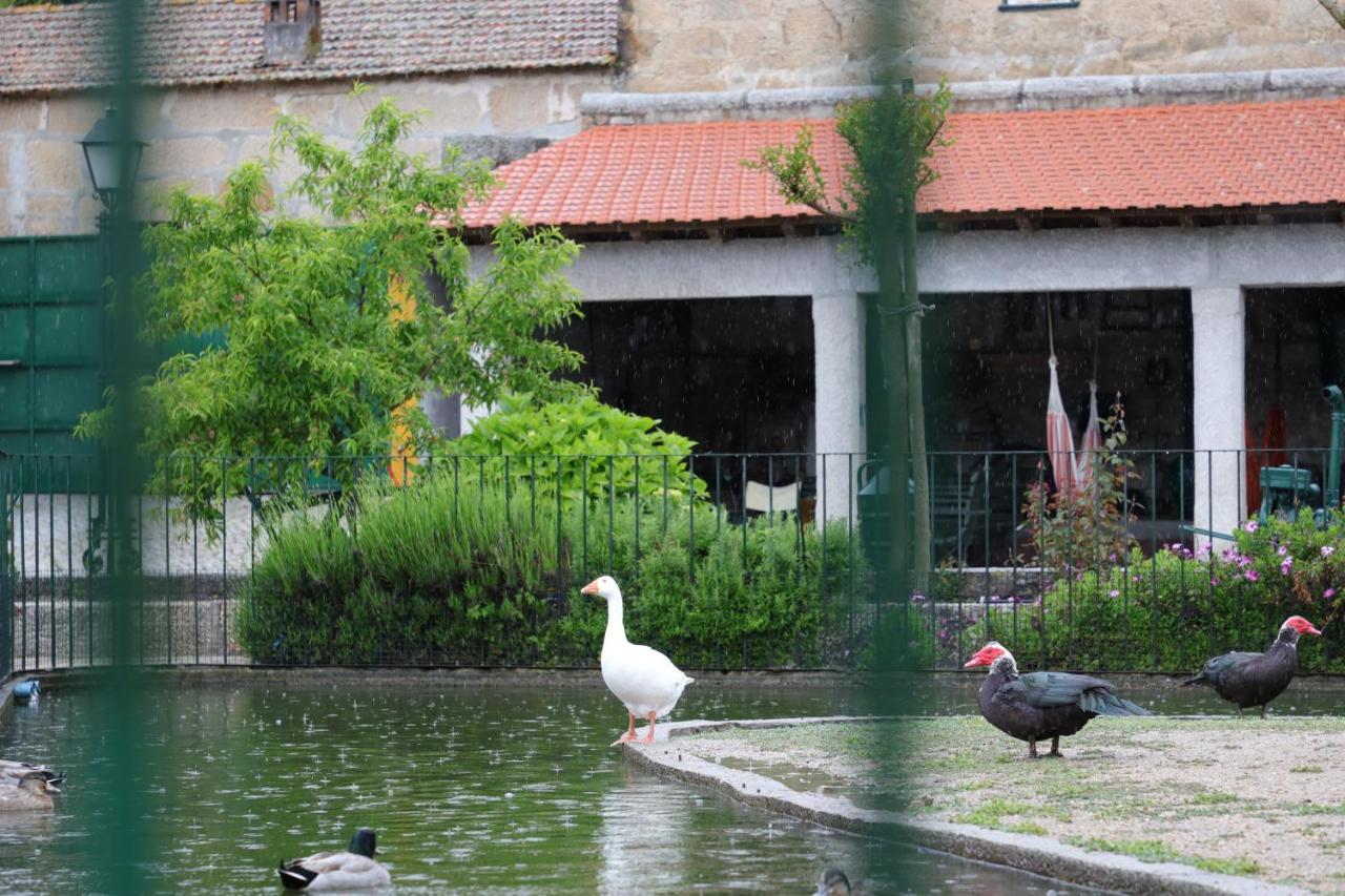Villa Quinta Dos Patos à Pinhanços Extérieur photo